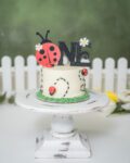 One little lady turning ONE and bringing all the cute cake-smash energy. 🐞❤️

The tiny ladybugs, the red-and-black tutu, that sweet little flower crown, and the cutest birthday cake ever? This theme was a whole win from start to finish.

#LadybugCakeSmash #CakeSmashPhotography #FirstBirthdayPhotos #CacheValleyPhotographer #StaceyHansenPhotography